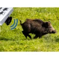 Viltavvisare: vildsvin, rävar, radjur VIANO (OZ1) PV-400-46 (12)